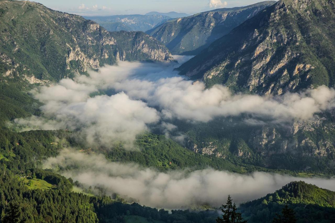 Vila Tijana Žabljak Exteriör bild